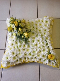 Cushion