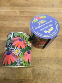 Chamomile Seed Growing Kit by SEEDBALL