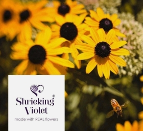 Sunflower sterling silver earrings, hand made with real flowers by Shrieking Violet.